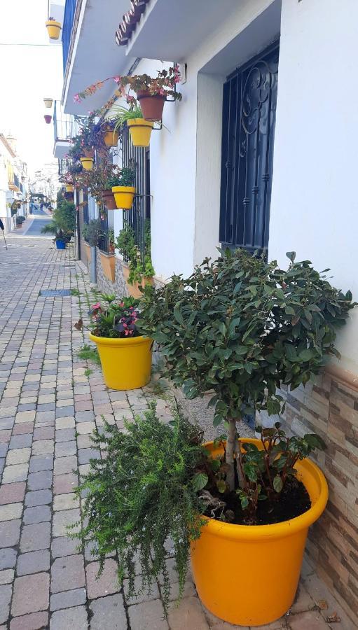 Apartamento En Casco Historico 에스테포나 외부 사진